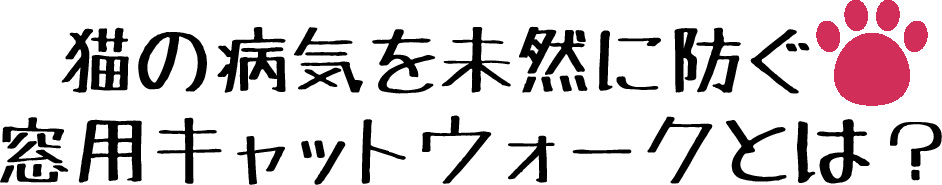 猫の病気を未然に防ぐ,窓型キャットウォークとは？